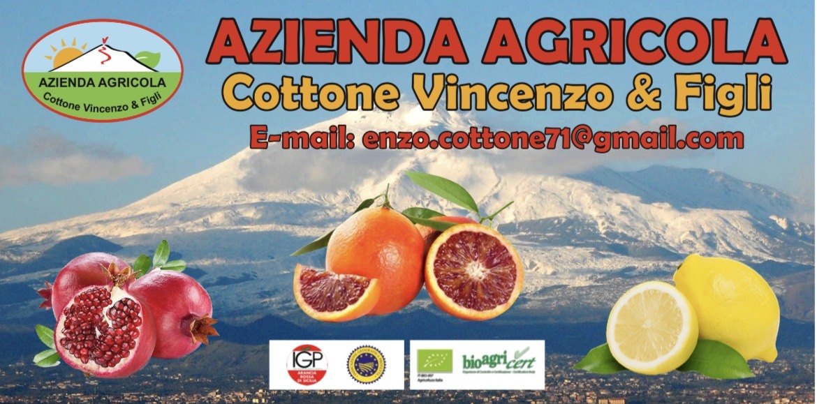 Logo Azienda Agricola Cottone Vincenzo & Figli