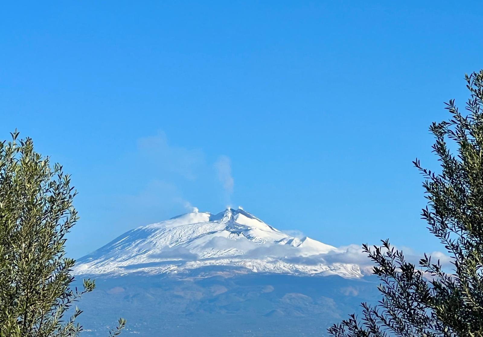 Etna innevato visto tra gli ulivi dell’Azienda Agricola Cottone