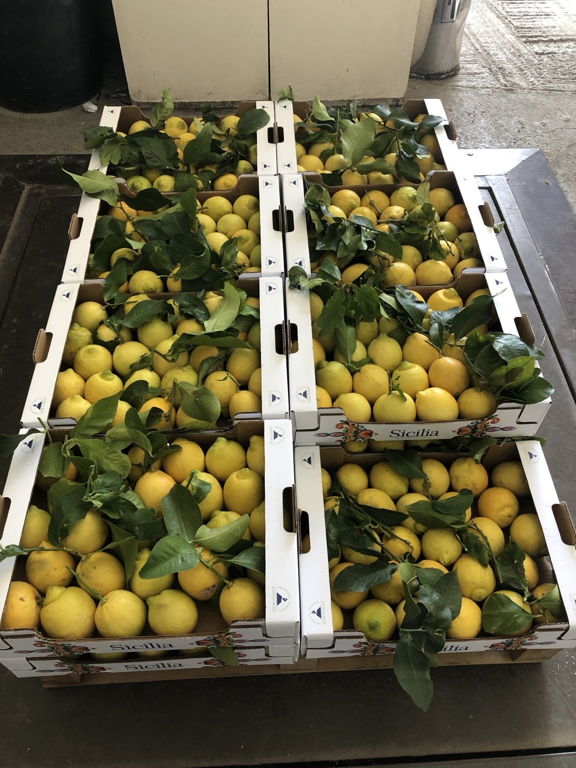 Cassette di limoni