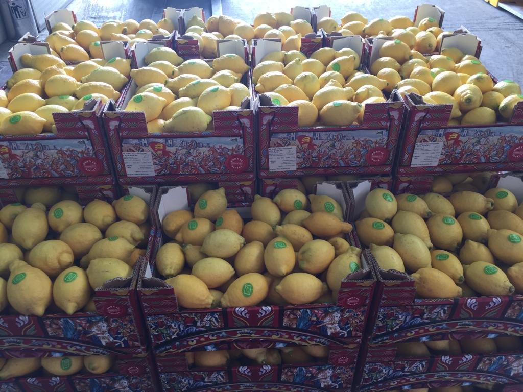 Limoni confezionati