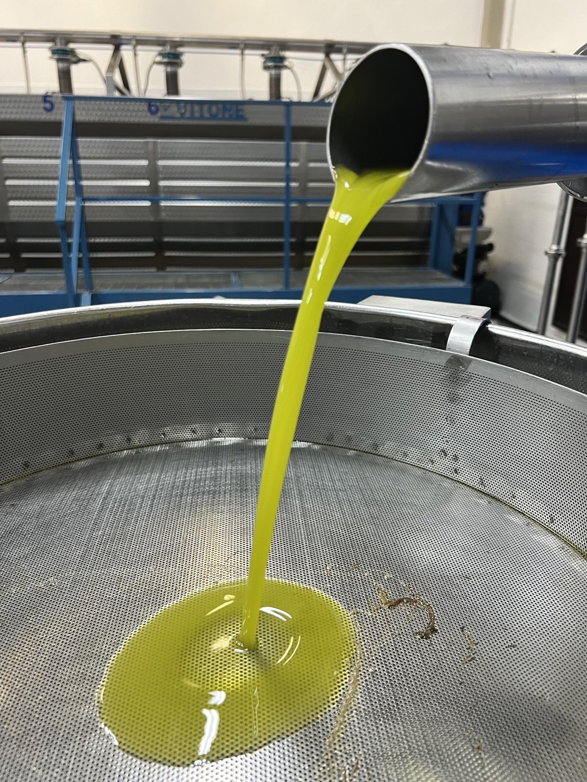 Olio appena prodotto
